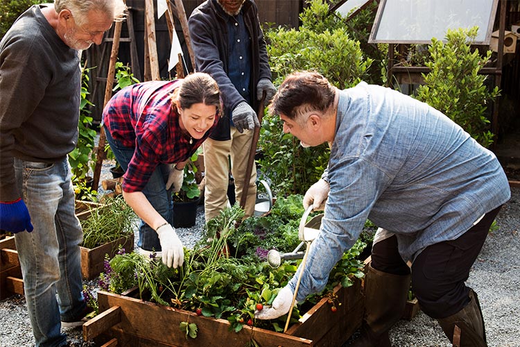 International Conference on Special Needs Education